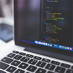 草莓丝瓜芭乐樱桃秋葵小蝌蚪榴莲幸福宝，丝瓜草莓向日葵芭乐幸福宝